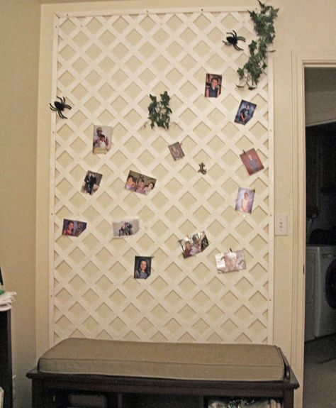 Using white plastic lattice from Home Depot with the railings around the edges and the corners mitered. To attach the pictures I am using the small clothes pins, putting them freeing in the corners of the lattice, hooks. I have put up pictures, ivy, spiders for Halloween (will have a theme each month). You can make it any size of lattice. Lattice Photo Display, Lattice Backdrop, Lattice Ideas, Spiders For Halloween, Plastic Lattice, Country Ideas, Room Vibes, Up Pictures, Havana Nights