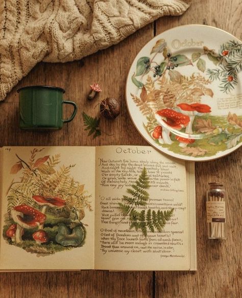 Green Academia Aesthetic, Autumn Tale, Estilo Cottage, Autumn Cottagecore, Green Academia, Aesthetic Cottage, Mushroom Decor, Styled Stock Photos, Journal Aesthetic