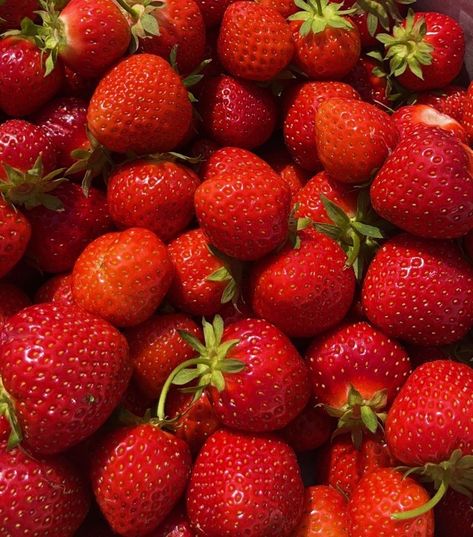 strawberries Strawberrycore Aesthetic, Strawberries Aesthetic, Strawberry Snacks, Strawberry Background, Aesthetic Strawberry, Strawberry Summer, Strawberry Picking, Food L, Fresh Strawberries