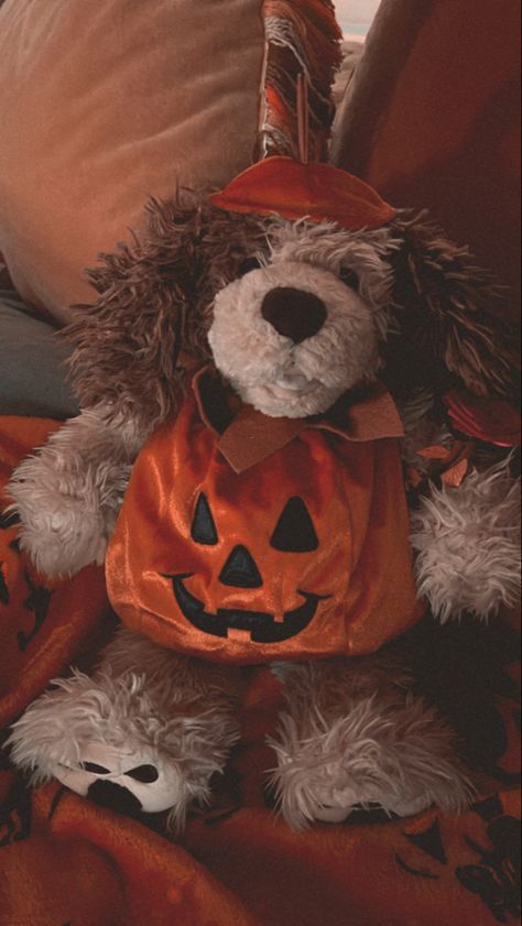 Vintage Build A Bear, Halloween Build A Bear, Build A Bear Halloween, Bear Halloween, Halloween Vintage, Aesthetic Stuff, Build A Bear, Cute Photos, Halloween