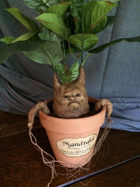 Diy Mandrake Harry Potter, Harry Potter Terrarium, Diy Mandrake, Harry Potter Plants, Harry Potter Mandrake, Harry Potter Halloween Decorations, Harry Potter Props, Cumpleaños Harry Potter, Harry Potter Bday