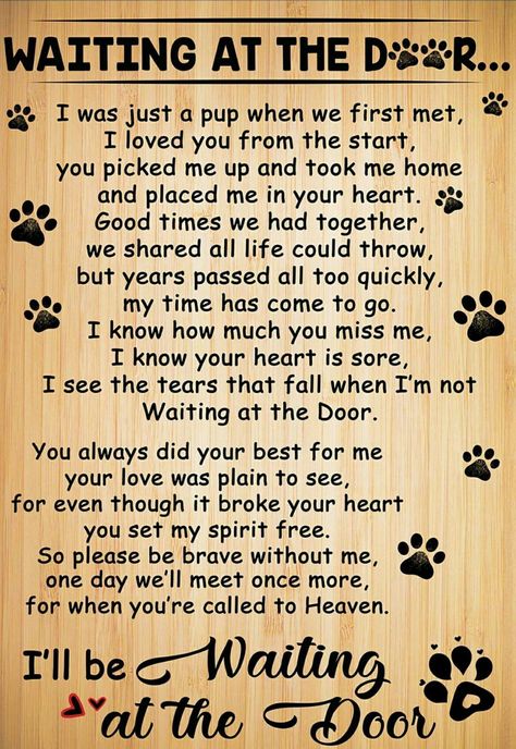 Pet Poems, Big Monster, Miss My Dog, Dog Poems, Dog Quotes Love, Mia Mia, Dog Heaven, Pet Remembrance, Pet Sympathy