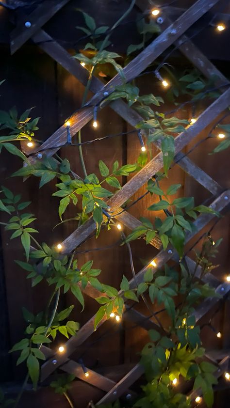 Garden fairy lights with climbing jasmine Fairy Lights Plants, Fairy Lights Terrace, Small Garden Decoration Ideas Diy, Firefly Garden Lights, Fairy Lights Garden Outdoor, Fenceline Garden, Balcony Fairy Lights, Fairy Lights Outside, Fairy Lights Patio