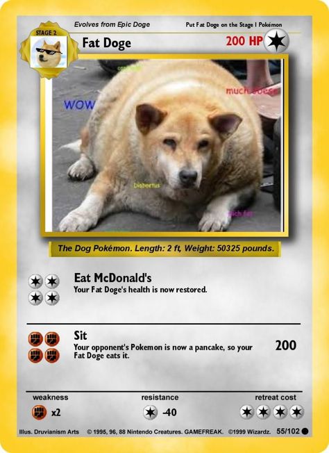 Funny Pokemon Cards, Make Your Own Pokemon, Fake Pokemon Cards, Pokemon Ninetales, Pokemon Deck, Pokemon Cards Legendary, Dog Pokemon, Ben 10 Birthday, Louis Vuitton Iphone Wallpaper