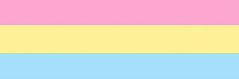 Banner For Twitter, Romantic Attraction, Pan Flag, Pansexual Flag, Banner Templates, Twitter Banner, Trans Pride, Space Place, Flag Banner