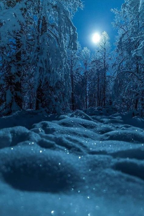 Snow Night, Snow Fall, California Vacation, Winter Wallpaper, Winter Scenery, Winter Magic, Winter Beauty, Snow Scenes, Winter Pictures