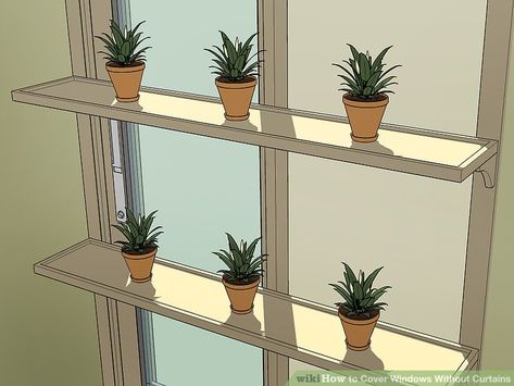 How To Disguise A Window, Cover Windows Without Curtains, Windows Without Curtains, Window Without Curtains, Window Coverings Diy, Tall Potted Plants, Barn Door Shutters, Vinyl Blinds, Honeycomb Shades