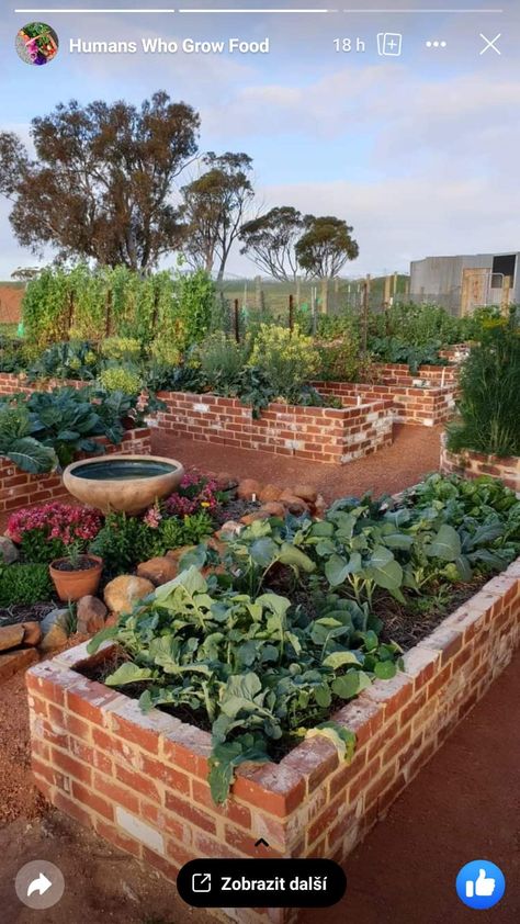 Brick Garden Boxes, Red Brick Garden Bed, Diy With Bricks, Brick Vegetable Garden, Garden Beds In Front Of House, Brick Garden Bed, Brick Landscaping, Brick Raised Garden Beds, Brick Raised Beds