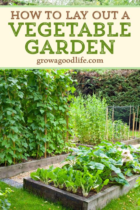 Vegetable gardens are a great way to grow your own food, but can be challenging to design. If you want to have a successful garden, you need to first determine what type of space you have available, and where everything will be planted. If you're not sure where to start, here are some tips to simplify the process. Veg Garden Design Layout, Simple Vegetable Garden Layout, Garden Spacing Vegetable, Veg Garden Layout Raised Beds, Co Planting Vegetable Garden, Veg Growing, Designing A Garden, Suburban Vegetable Garden, Efficient Garden Layout