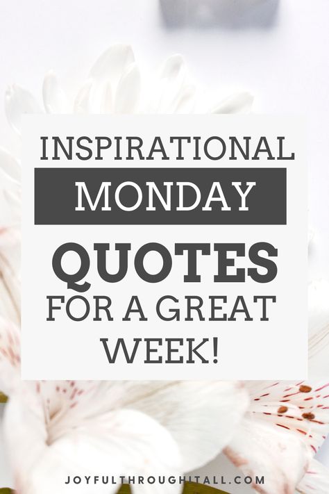 Good morning Monday quotes Monday Quotes Positive, Morning Monday Quotes, Good Morning Monday Quotes, Motivational Monday Quotes, Monday Morning Inspiration, Monday Inspirational Quotes, Monday Morning Motivation, Happy Monday Quotes, Happy Monday Morning