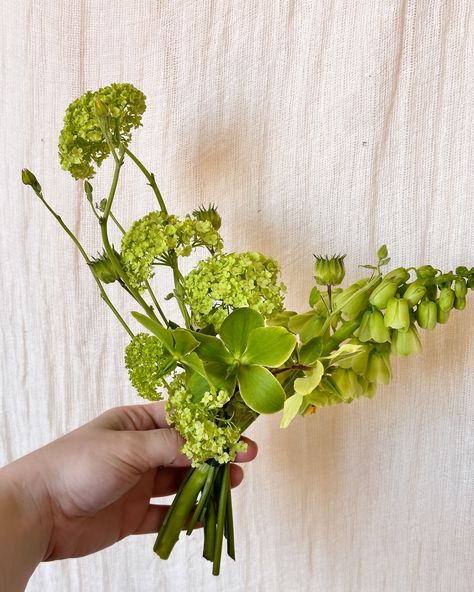 What do you think of monochromatic bouquets? We love it 😍 #florist #floraldesign #monochromatic #green #bridalmakeup #weddinginspiration Green Monochromatic, Whimsy Flowers, Green Monochrome, Bouquet Inspiration, Neon Flowers, April Wedding, Wedding Mood Board, Wedding Mood, Bridal Makeup