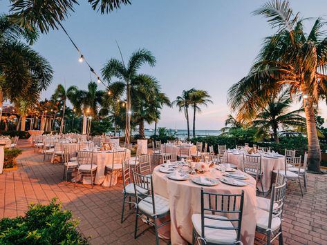 Destination Wedding in Aruba: Laura and Ryan at Surfside Marina Aruba Aruba Pictures, Destination Wedding Aruba, Aruba Wedding, Aruba Weddings, Famous Trees, Tropical Beach Wedding, Dream Destination Wedding, Unique Wedding Venues, Best Wedding Venues