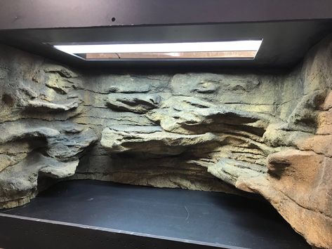 3 Sided Backgrounds for Reptiles – CustomReptileHabitats.com Diy Bearded Dragon Enclosure, Bearded Dragon Vivarium, Bearded Dragon Terrarium Ideas, Pet Reptiles, Bearded Dragon Diy, Diy Reptile, Bearded Dragon Enclosure, Snake Enclosure, Bearded Dragon Habitat