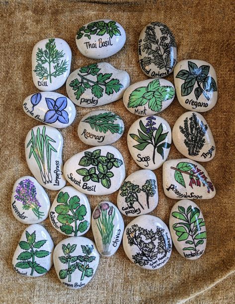 Garden Markers Rock, Rock Tutorial, Vegetable Garden Markers, Herb Garden Markers, Herb Labels, Fruits Decoration, Herb Markers, Stone Plant, Garden Labels