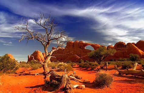 Great Victorian Desert Australian Desert, Australia Landscape, Australian Photography, Desert Life, Moab Utah, Red Rocks, Utah National Parks, Arches National Park, Foto Art