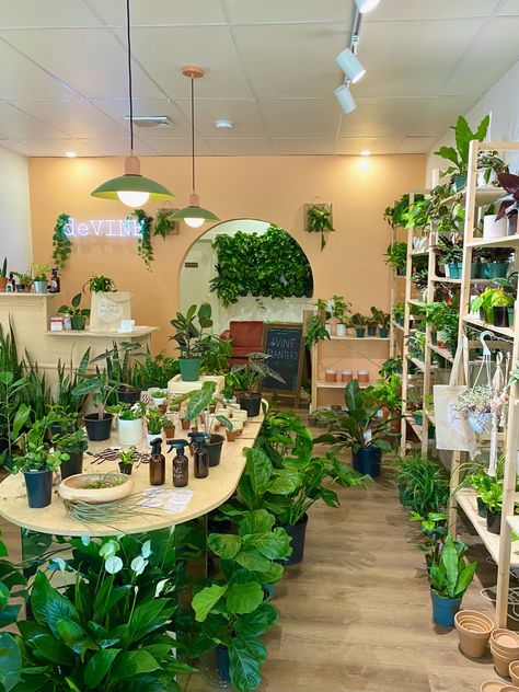 Selling Plants On Etsy, Indoor Plant Store Ideas, Inside Flower Shop, Book And Plant Store, House Plant Shop, Plant Store Design, Plant Booth Display, Small Plant Shop Ideas, Small Plant Business