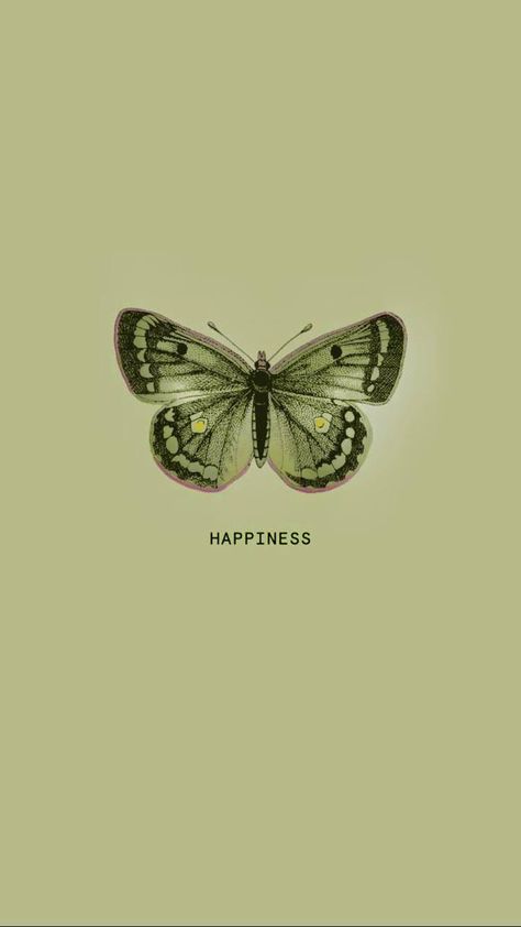 Green Butterfly Wallpaper, Gold Wallpaper Phone, Islamic Posters, Aesthetic Pastel, Green Butterfly, Gold Wallpaper, Aesthetic Pastel Wallpaper, Pastel Wallpaper, Butterfly Wallpaper