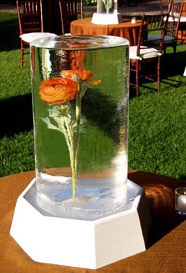 Ice Sculpture's Flowers In Ice, Ice Sculpture, Snow Art, Ice Sculptures, Ice Ice Baby, Snow And Ice, Party Centerpieces, Flower Centerpieces, Table Centerpieces