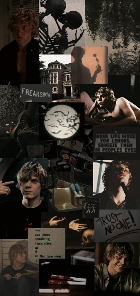 #tatelangdon #americanhorrorstory #ahs #aesthetic #kylespencer #psychopath #smoking #wallpaper #lockscreen Tate Langdon Wallpapers Iphone, Ahs Phone Wallpaper, American Horror Story Aesthetic Wallpaper, Even Peters Wallpapers, Evan Peters Collage Wallpaper, Tate Ahs Wallpaper, Tate Langdon Lockscreen, Evan Peters American Horror Story Wallpaper, Kyle Spencer Wallpaper