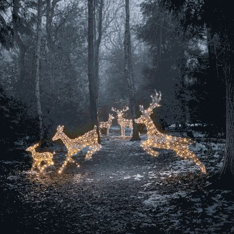 Reindeer Figure, Stag And Doe, Dark Christmas, Christmas Yard, Christmas Garden, Outdoor Christmas Lights, Pisco, Christmas Deer, Christmas Aesthetic