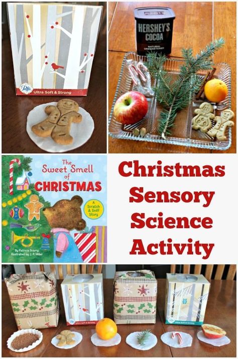 A great sensory activity + science experiment for Christmas! Read the Sweet Smell of Christmas and then set up sensory boxes to see if kids can identify the various holiday scents. #christmasactivities #sensory Smell Of Christmas, Preschool Christmas Activities, Christmas Units, Christmas Science, December Activities, Christmas Smell, Sensory Activity, Sensory Boxes, Christmas Scents