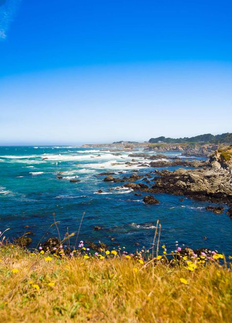 Central California Coast, Mendocino California, Driving Up The Coast Of California, Ocean Side California, California Drought, Mendocino Coast, California Coastline, California Photography, California Coast