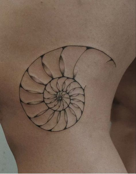 Fibbonaci Tattoo, Golden Spiral Tattoo, Fibonacci Spiral Tattoo, Nautilus Tattoo, Golden Ratio Tattoo, Fibonacci Tattoo, Spiral Tattoos, Seashell Tattoos, Shell Tattoos