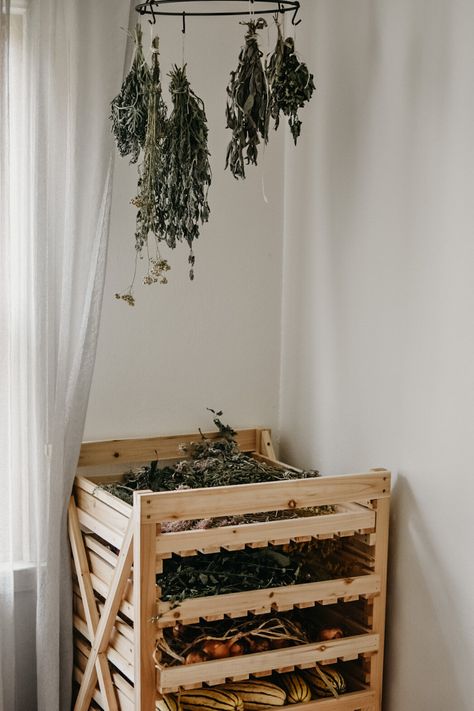 Green House Organization Ideas, Homestead House Decor, Herbalist Home Aesthetic, Herbal Room Ideas, Homesteading Aesthetic Kitchen, Homestead Kitchen Aesthetic, Homestead Astethic, Homestead Home Decor, Homesteading Decor