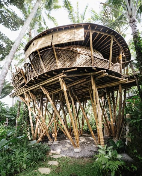 Pablo Luna Studio built bamboo tree house hotel elevated on bamboo pillars within lush forest of Bali Bamboo Tree House, Tree House Hotel, Wooden Terrace, Studio Build, Bamboo Architecture, World Architecture, Lush Forest, Retreat House, Bamboo Tree