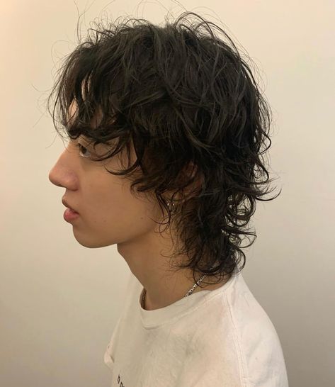 70s Hairstyles Men Long, Men's Wolfcut, Men’s Wolf Cut Hair, Curly Shag Haircut Men, Mens Curly Wolf Cut, Wolfcut Mullet Male, Curly Hair Wolf Cut Men, Short Shag Men, Grunge Mullet Men