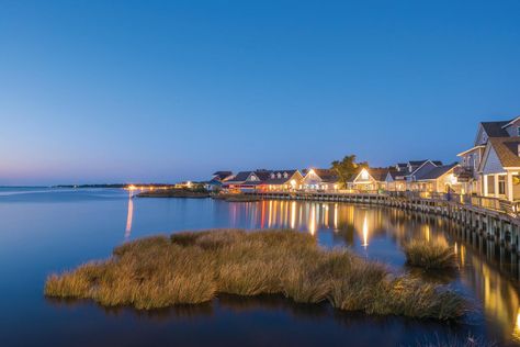 Duck - The Outer Banks - NC Vacations: Beach Rentals, Resorts & Things to Do - The Outer Banks - North Carolina Where The Crawdad Sings, Aesthetic Summer Pictures, Duck North Carolina, Outer Banks Vibes, Corolla North Carolina, Kill Devil Hills Nc, Duck Nc, Nc Beaches, Sea Gulls