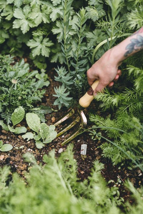 Gardening Photos, Male Gardener Aesthetic, Garden Flatlay, Herb Garden Aesthetic, Vegetable Garden Vision Board, Picking Herbs Aesthetic, Gardening Tools Aesthetic, Rolling Hills Painting, Sustainable Homestead