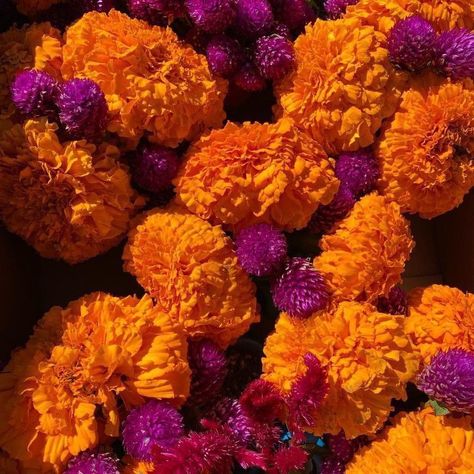 Mexican Marigolds, Marigold Aesthetic, Skelita Calaveras, Mexican Flowers, Fleur Orange, Día De Muertos, Mexican Decor, Rose Orange, Mexican Wedding