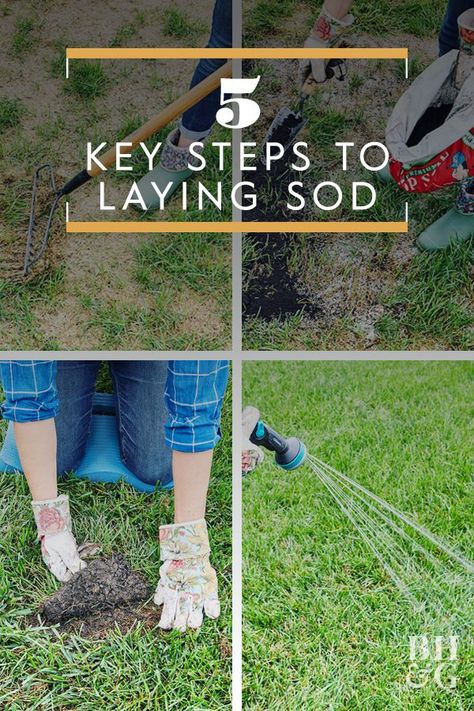 Garden Statues Ideas, How To Lay Sod, Sod Grass, Mulch Landscaping, Pergola Pictures, Diy Lawn, Lawn Care Tips, Garden Watering, Healthy Lawn