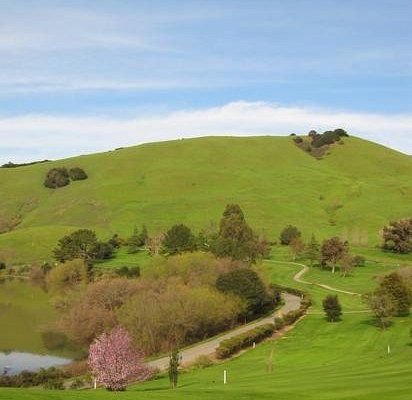 THE 15 BEST Things to Do in Novato - 2022 (with Photos) - Tripadvisor Things To Do In Escondido California, Oxnard California Things To Do, Novato California, Moreno Valley California, New Port Beach California, Marin County California, What To Do Today, Marin County, Online Tickets