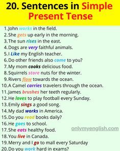 Present Simple Tense is also known as present indefinite as a verb, which is used to describe your habit, routine, and repetition. Simple Present Tense Sentences, Present Tense Sentences, Present Simple Tense, Simple English Sentences, Verbo To Be, English Grammar Tenses, Simple Present Tense, English Teaching Materials, Simple Present