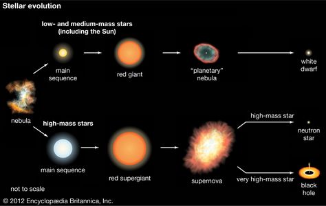 Stellar evolution.Encyclopædia Britannica, Inc. Nebular Hypothesis, Stellar Evolution, Moon Village, Astronomy Club, Earth Science Projects, The Luminaries, Space And Planets, Science Video, Nuclear Fusion