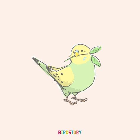 Pet Bird Drawing, Kawaii Bird Drawing, Parakeet Doodle, Budgie Tattoo, Parakeet Tattoo, Bird Pfp, Parakeet Drawing, Budgie Drawing, Cute Bird Illustration