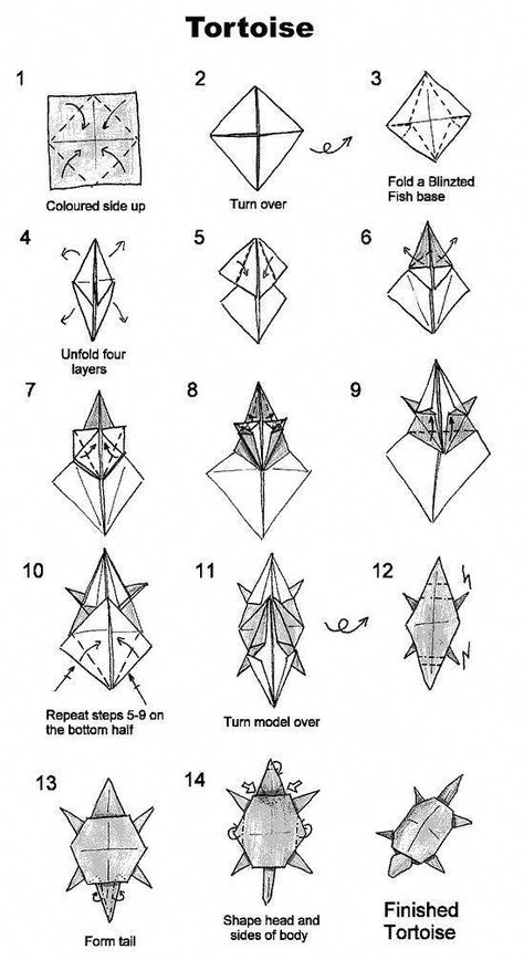 Origami Tortoise, Turtle Origami, Origami Turtle, Origami Star Box, Origami Diagrams, Origami For Beginners, Origami Fish, Origami Love, Origami And Kirigami