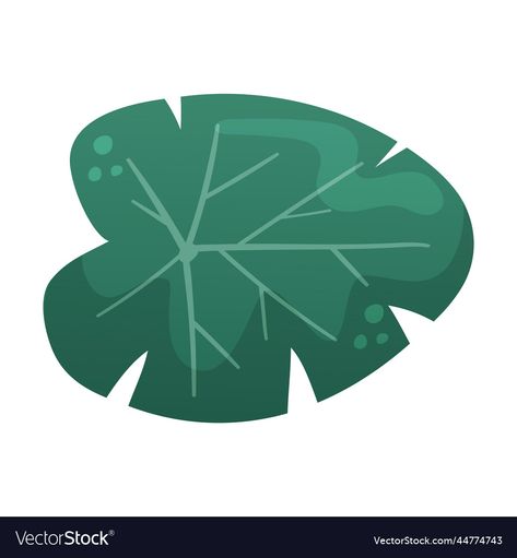 Lotus Leaf Illustration, Leaf Vector Illustration, Leaf Vector, Aquatic Plant, Leaf Illustration, Lotus Leaves, Leaves Vector, Green Water, Lotus Leaf