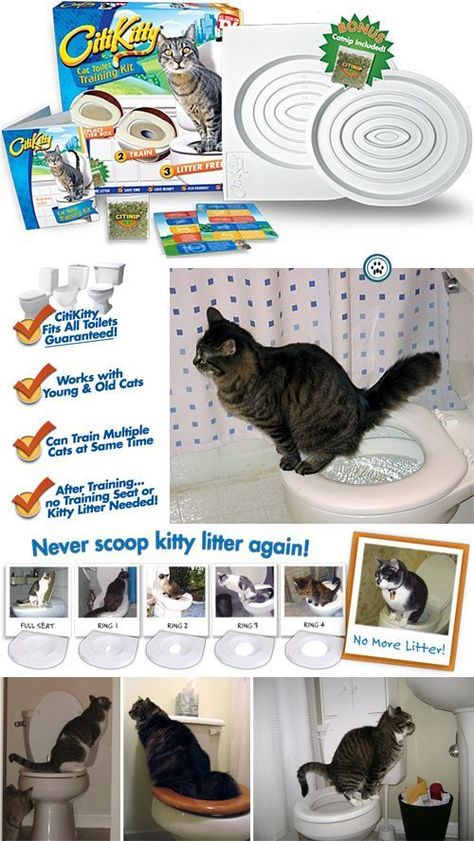 Cat Toilet Training, Puppy House, Dog Behavior Problems, Potty Training Puppy, Cat Toilet, Puppy Training Tips, Training Kit, Aggressive Dog, Toilet Training