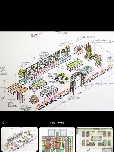 10 X 20 Garden Layout, Fruit Trees And Vegetable Garden Layout, Vegtable Garden Lay Out, Edible Garden Design Layout, Garden Size Family Of 4, Allotment Layout, Farm Layout 10 Acres, Family Compound Ideas Layout, Garden Plots Layout