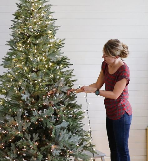 Learn how to hang lights by yourself AND make them look professionally done.  Such a great tutorial for hanging Christmas tree lights! Hanging Lights On Tree, Add Lights To Christmas Tree, Lighting Christmas Tree, Best Way To Light A Christmas Tree, Lights On Christmas Tree How To Put, Best Lights For Christmas Tree, How To Put Lights On A Tree, How To Hang Christmas Lights On Tree, Easy Way To Put Lights On Christmas Tree