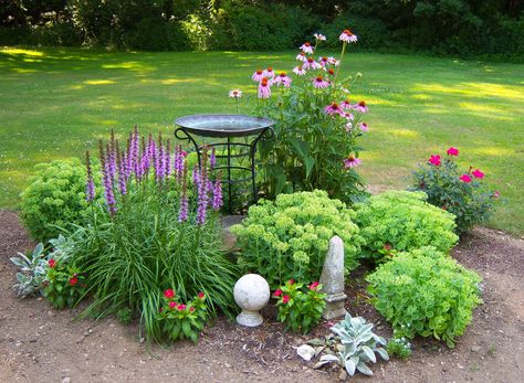 how I disguised my ugly septic tank cover!! (it's under the bird bath) Garden Around Septic Tank, How To Landscape Around Septic Tank Lids, Hiding A Well Pump Front Yards, Bird Bath Area Ideas, Flower Bed Around Septic Tank, How To Hide Septic Tank Lids With Plants, Front Yard Bird Bath Garden Ideas, Landscape Around Septic System, Hide Septic Tank Cover Garden Ideas