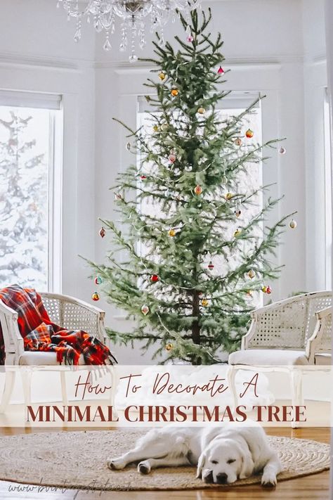 Check out these 10 minimal Christmas tree ideas for the holidays! These are great to simplify your home and Christmas decorations this holiday season. Minimal Christmas Tree, Simplify Your Home, Scandinavian Christmas Decorations, Minimalist Christmas Tree, Minimal Christmas, Christmas Decor Inspiration, Christmas Tree Ideas, Christmas Lanterns, Christmas Tablescapes