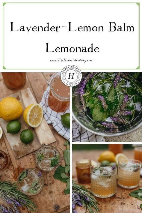 Lemon Balm Lemonade Recipe, Lemon Balm Lavender Tea, Herbal Lemonade Recipe, Herbal Lemonade, Lemon Balm Recipes, Herb Magic, Summer Beverages, Digestive Bitters, Herbal Tea Garden