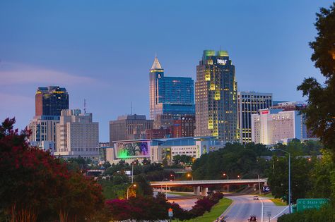 Raleigh Skyline, Usa Cities, Urban Aesthetic, Raleigh Nc, State Of Colorado, Atlanta Georgia, World Cities, New City, City Skyline