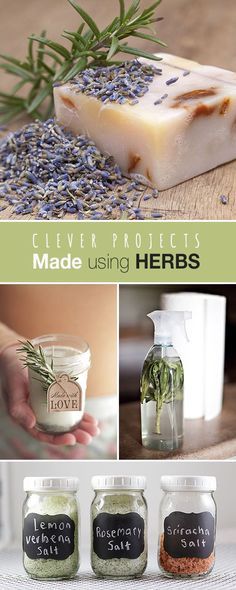 Clever Projects Made using Herbs  Love some of these projects  Click thru to see these great ideas crafts and tutorials with herbs! #ProjectsUsingHerbs #HerbalCrafts #projectswithherbs #CraftingProjects #HerbProjects #DIYherbprojects #DIY #DIYgardenpro Healing Herbs, Growing Herbs, Medicinal Herbs, Home Made Soap, Back To Nature, Homemade Beauty Products, Great Ideas, Sriracha, Herbal Medicine