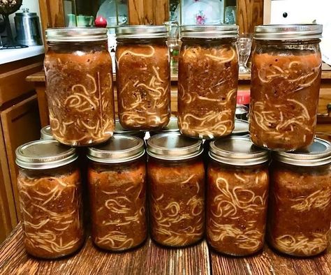 Canning Homemade Spaghetti Sauce, Canned Spaghetti Sauce, Dehydrating Food, Pressure Canning Recipes, Home Canning Recipes, Spaghetti Sauce Recipe, Canning Food Preservation, Homemade Spaghetti Sauce, Canned Food Storage