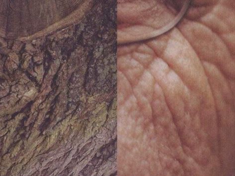 Skin Photography, Man Vs Nature, Human Photography, Human Body Parts, Everything Is Connected, Man Vs, A Level Art, Human Connection, Human Condition